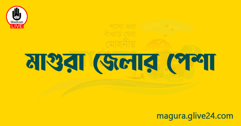 মাগুরা জেলার পেশা