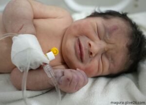 মাগুরায় ঝোপ থেকে উদ্ধার নবজাতকের মা দাবিদার দুই নারী