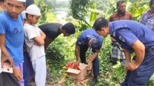 মাগুরায় নবজাতকের কার্টনবন্দি মরদেহ উদ্ধার