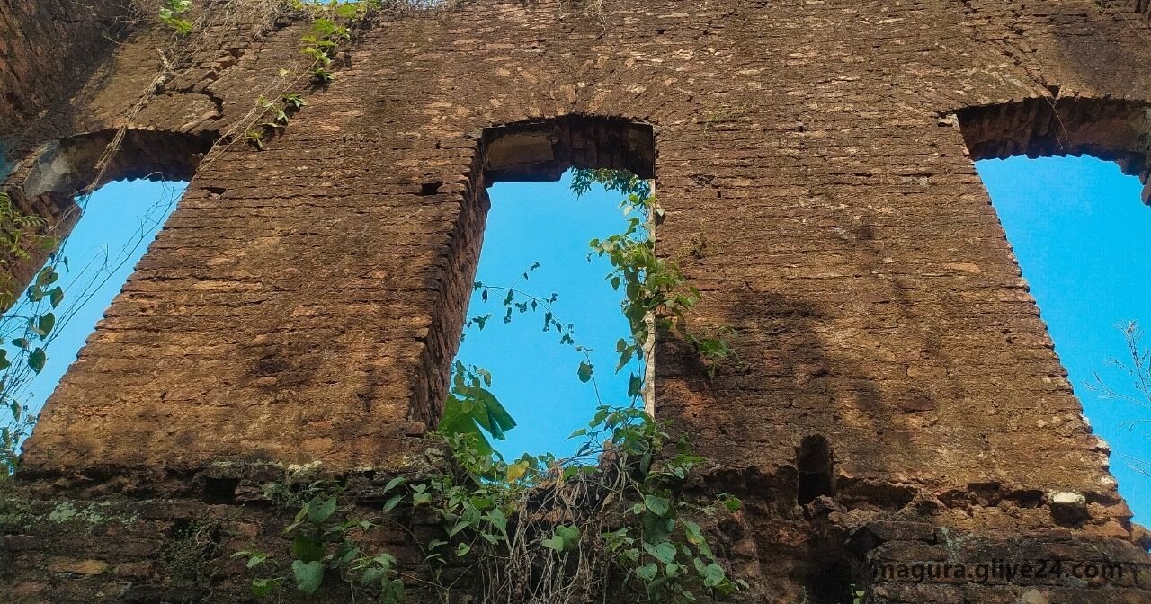 মাগুরা জেলার কৃষি