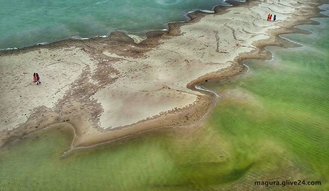 মাগুরা জেলার আবাসন